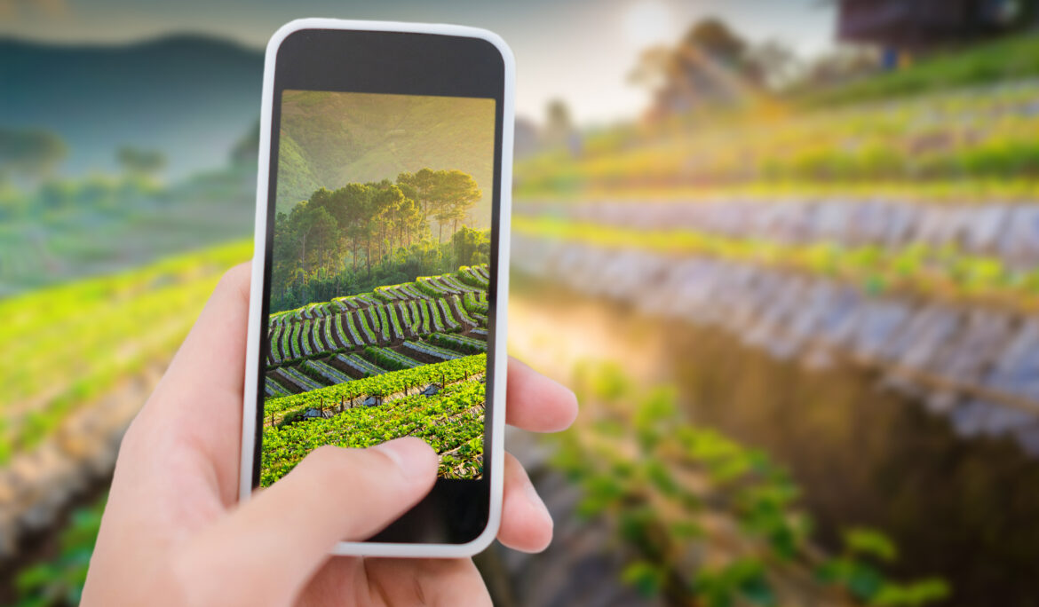 CONTRIBUTI A FONDO PERDUTO FINO ALL’80% PER LE IMPRESE AGRICOLE